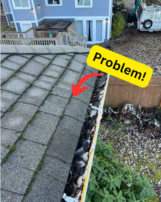 Eco friendly roof cleaning products!