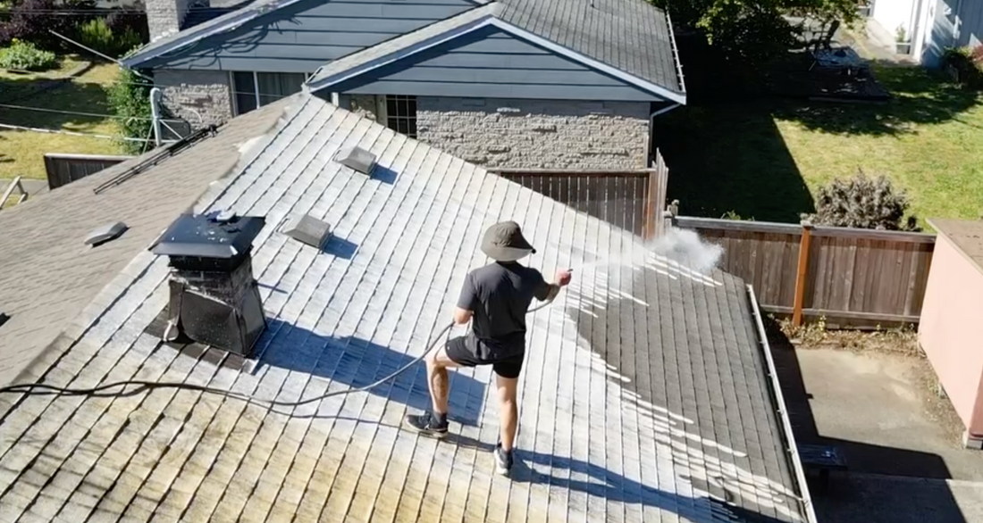 eco friendly roof cleaner