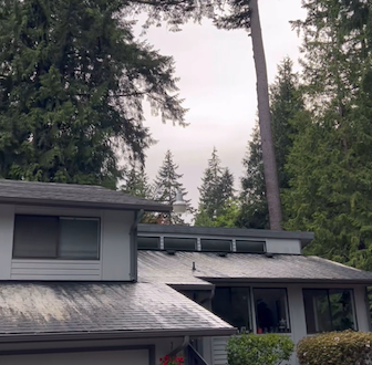 How Does Oxygen Bleach (Eco Roof Wash Work)